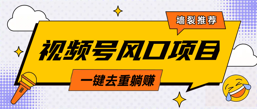 蟆城网赚–视频号风口蓝海项目，中老年人的流量密码，简单无脑，一键去重，轻松月入过万-蟆城传奇源码网