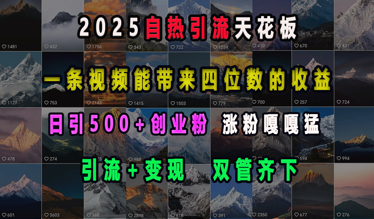 蟆城–2025自热引流天花板，一条视频能带来四位数的收益，引流+变现双管齐下，日引500+创业粉，涨粉嘎嘎猛-蟆城传奇源码网