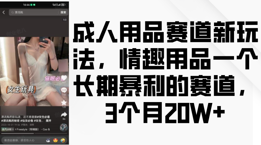 蟆城网赚–情趣用品一个长期暴利的赛道，成人用品赛道新玩法，3个月20W+-蟆城传奇源码网