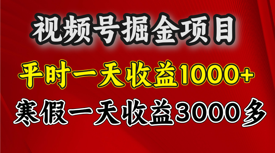 蟆城网赚–视频号掘金项目，寒假一天收益3000多-蟆城传奇源码网