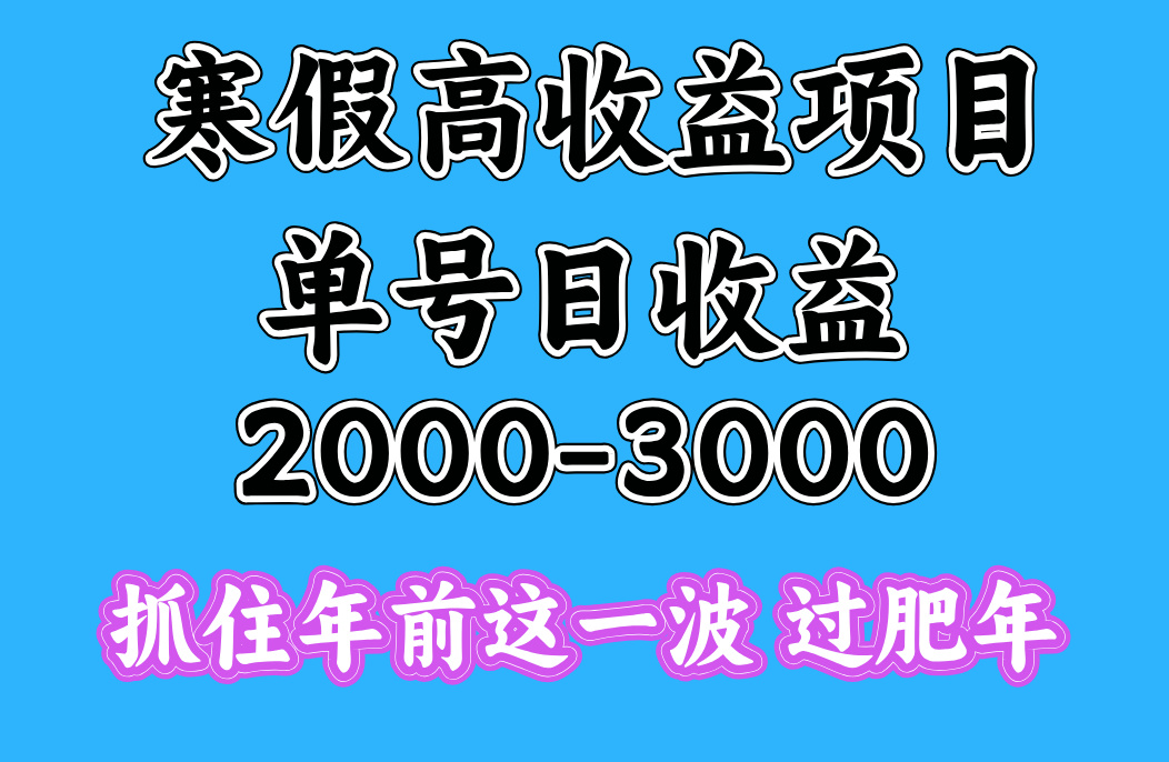 蟆城网赚–寒假期间一天收益2000-3000+，抓住年前这一波-蟆城传奇源码网