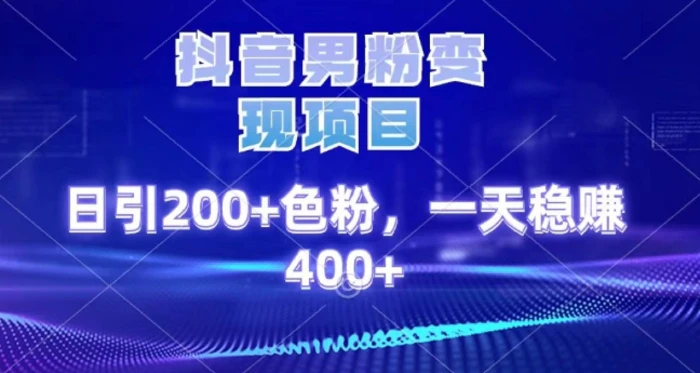 蟆城网赚–2025最新男粉项目 日引200 轻松月入2w+-蟆城传奇源码网